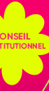 CONSEIL CONSTITUTIONNEL 